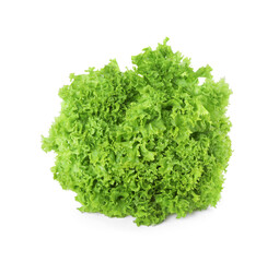 Fresh lettuce isolated on white. Salad greens