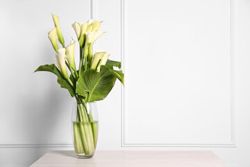 Beautiful calla lily flowers in vase on table, space for text