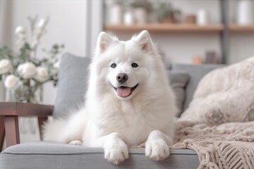 Portrait cute dog sitting on sofa AI Generative