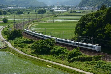 初夏の近江路を走る681系特急しらさぎ （東海道本線 米原 - 醒ヶ井,...
