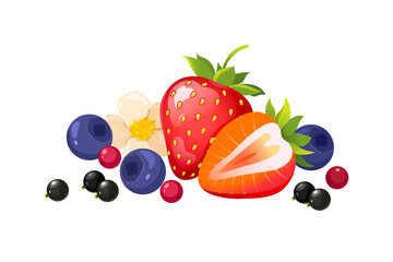 Summer berries composition. Vector illustration © Elen_Art