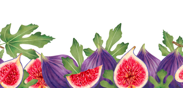 Figs fruit border. Half, whole, pieces of purple fig with leaves. Horizontal banner or frame for the design of the farmers market,food packaging. Hand-drawn illustration  markers and watercolor.