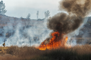 Wildfire tears through dead tules while firefighters put it out © David Elkins