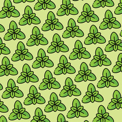 Basil pattern design or background