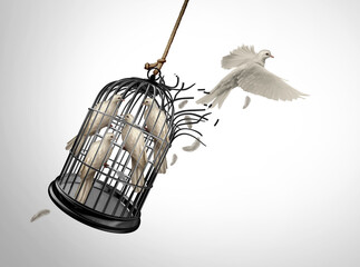 Breaking Boundaries and freedom concept as a bird escaping a cage with imprisoned birds as a symbol for individualism and power of purpose with confidence to succeed 