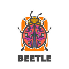 ladybug on a white background