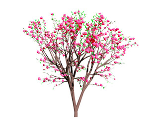 A love tree 3D illustration of love and valentine day isolated on transparent background. PNG File.