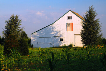 A Colonial American flag is painted on the side of a small barn, as a symbol of patriotism and patriotic feeling, in a rural farm field near the Fourth of July