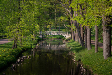 Obraz premium View of the cast-iron openwork bridge across the water maze channel near the White Lake in Gatchina Park on a sunny summer morning, Gatchina, St. Petersburg, Russia