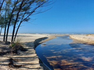 river in the morning