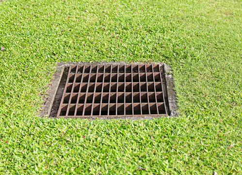 Drainage steel grate installed in the green lawn area