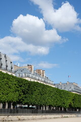 Fototapeta na wymiar Jardin des Tuileries et un nuage