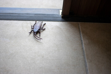 害虫が玄関から侵入するイメージ