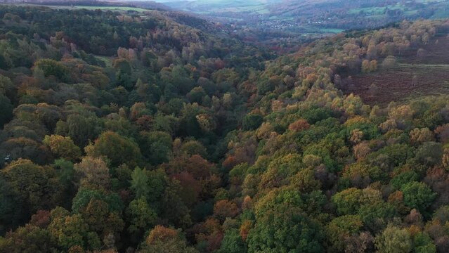 Aerial footage of autumnal woodlands in the Peak District National Park, United Kingdom