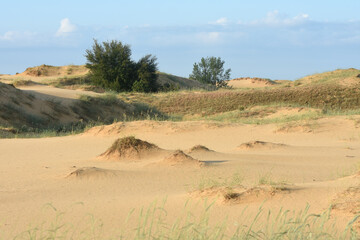 Ukraine, Kherson region - June 2019: Ukrainian desert 