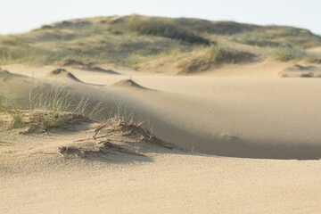 Sand dunes are covered with sparse vegetation. The problem of arid climate.