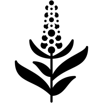 Pearl Millet Icon. Pennisetum Americanum Symbol Stock Illustration. Vector Solid Icons For UI Web Design And Presentation