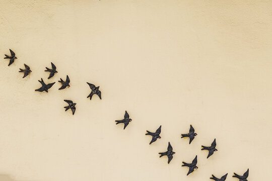 Black flying birds on the side of a tan stucco wall