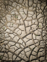Dried cracked earth ground in the desert with green grass in the background. Photo from the phone. Background, wallpaper