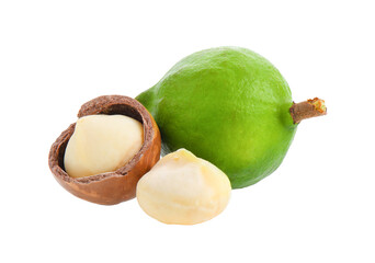 macadamia isolated on transparent png