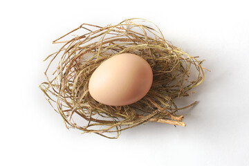 close-up of fresh brown egg on dried grass cup nest isolated on white background, healthy organic food concept