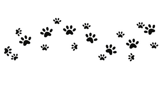 cute little cat super cute footprints 