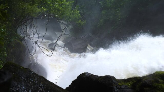 Neluwa Doowili Ella Falls. Sinharaja Forest Reserve. Sri Lanka. UNESCO.