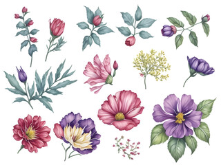 set of watercolor gypso flower on transparent background, generative ai