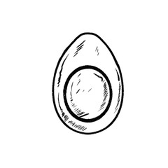 boiled egg hand drawn sketch. hard breakfast.