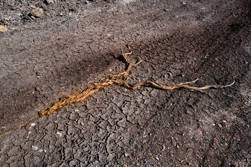 road