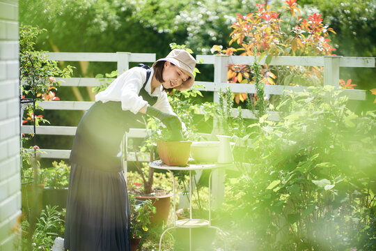 ガーデニングをする日本人女性