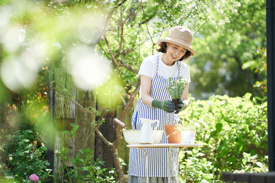 ガーデニングをする日本人女性
