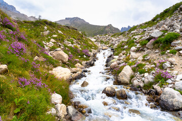 mountain river in the mountains