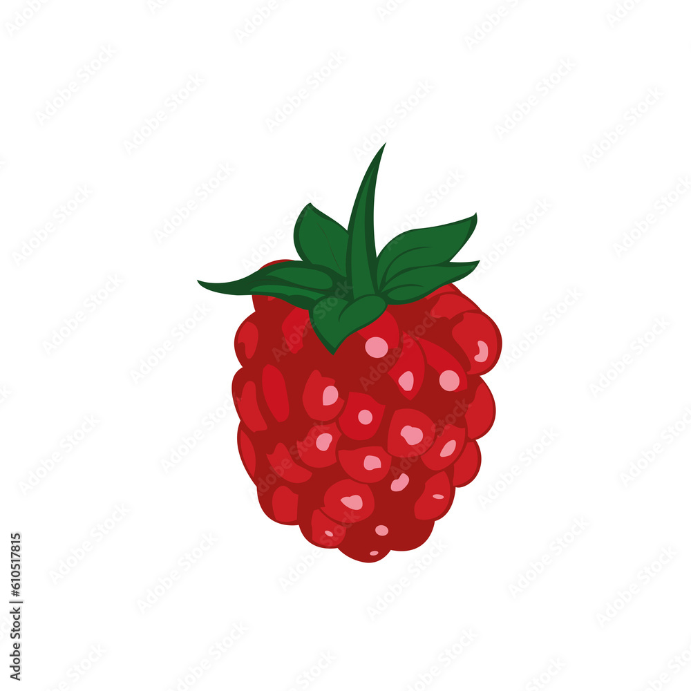 Poster raspberry with leaf. raspberry icon clipart. raspberry cartoon.
