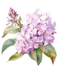 Watercolor pink lilac white Background ,transparent background, PNG , Generative AI	
