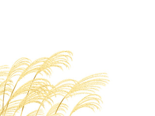 Corner frame of pampas grass drawn with digital watercolor