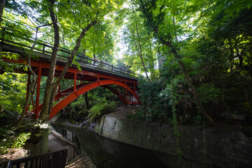 Fototapeta premium A small valley near the river in Todoroki Tokyo wide shot