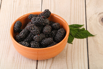 Natural organic blackberry in the bowl