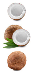 Coconut isolated on white background.Coconut isolated on white background.