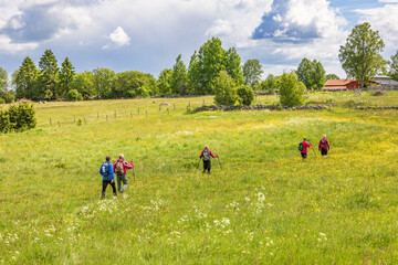 People hiking on a meadow with wild flowers