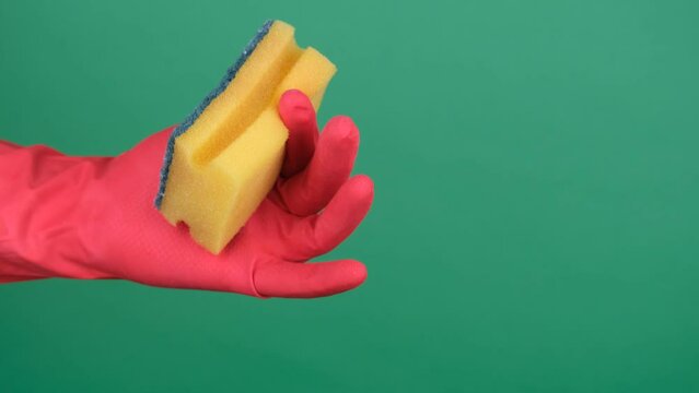 dish sponge