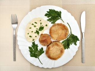 Fried slices of zucchini, fresh parsley leaves and mashed potatoes on the plate. Close-up. Top view.