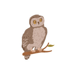 Wonder brown owl sitting on branch flat style, vector illustration