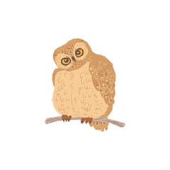 Vector isolated illustration cartoon character of cute curious owlet sitting on a branch on white background