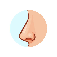 Human nose vector isolated on white background.
