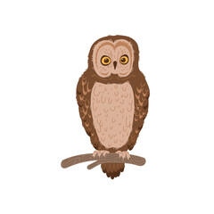 Owl or owlet nocturnal forest bird sitting on tree branch, flat vector isolated.