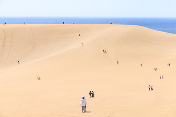 鳥取砂丘で砂丘を楽しむ人々