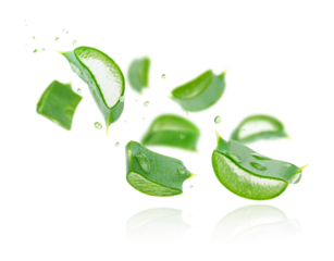 Aloe vera slices flying composition on white background. Skin care concept