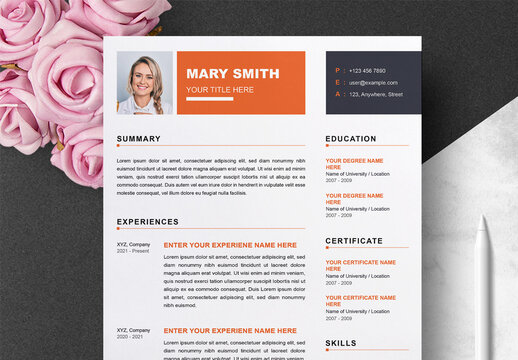 Curriculum Vitae