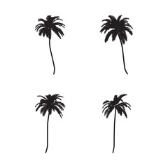 Fototapeta premium Black palm trees set isolated on white background. Palm silhouettes. Design of palm trees for posters, banners and promotional items. Vector illustration.